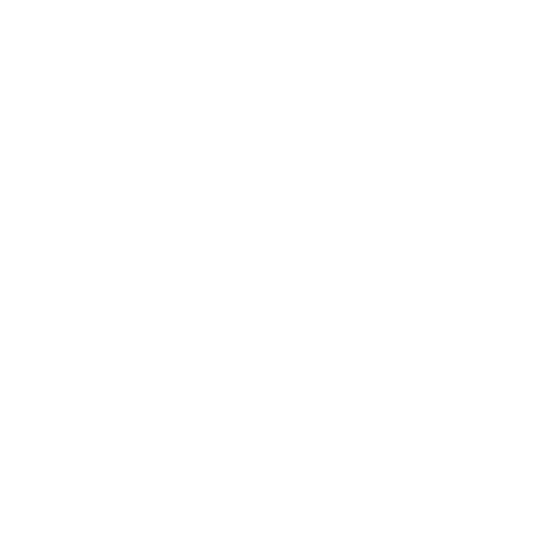 Security Lock